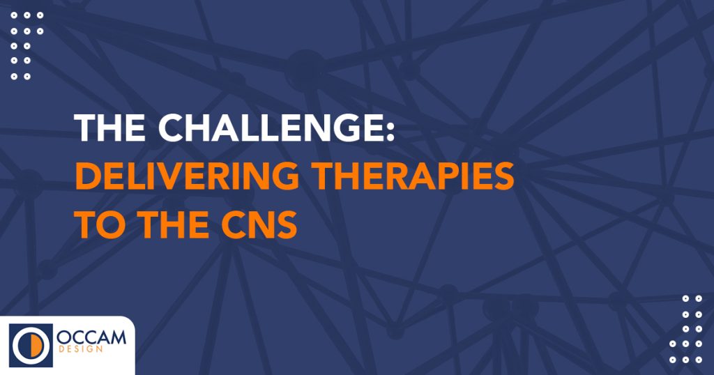This subheader graphic has a webbed texture in the background and it states, "THE CHALLENGE: DELIVERING THERAPIES TO THE CNS"