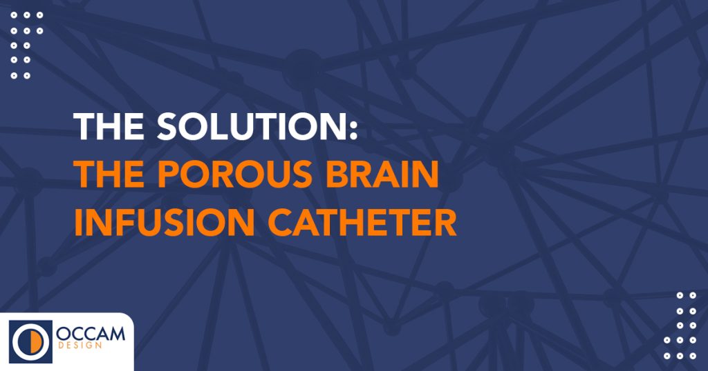 This subheader graphic has a webbed texture in the background and it states, "THE SOLUTION: THE POROUS BRAIN INFUSION CATHETER"
